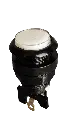 1769022443973.webp