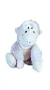 1767811694088.webp