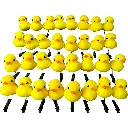 Pollos de pinza  (2).webp
