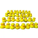 Pollos de pinza  (3).webp