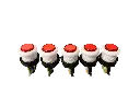 Foto 01-01-23, 18 15 32 (4).webp