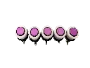 Foto 01-01-23, 18 15 33 (3).webp