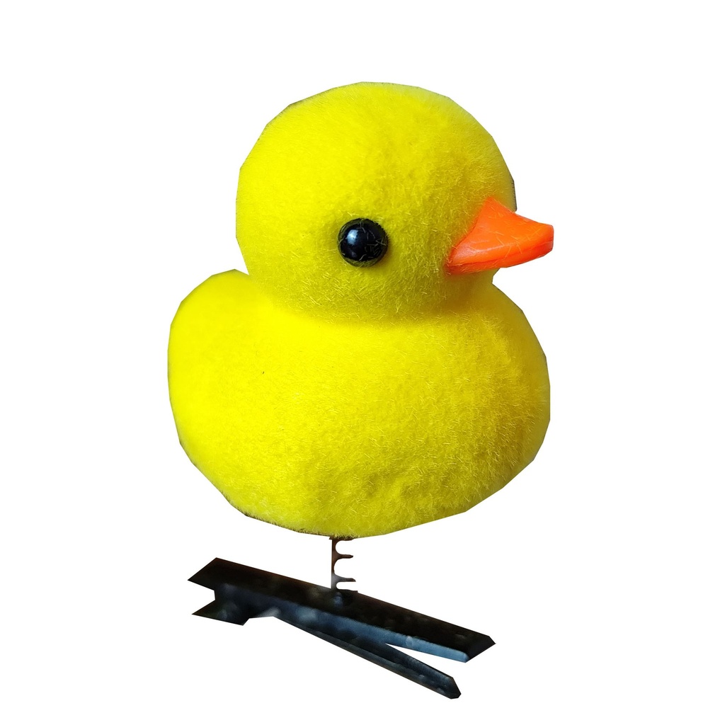 Pollito